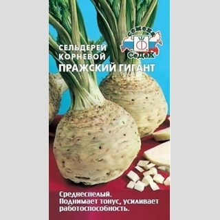Сельдерей Пражский гигант (корневой)