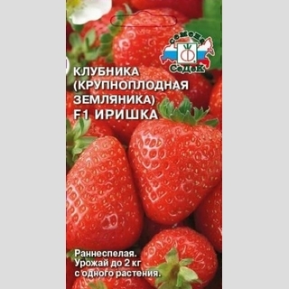 Земляника Иришка F1