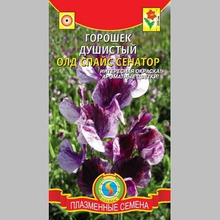Горошек Олд Спайс Сенатор (душистый)