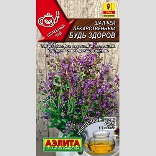 Шалфей Будь здоров