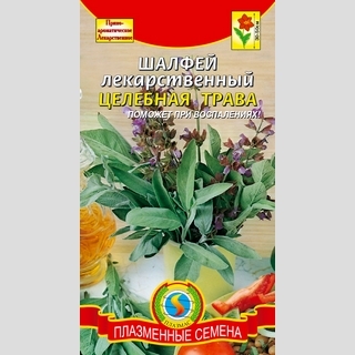 Шалфей Целебная трава лекарственный