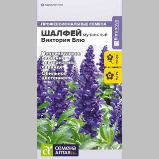 Шалфей Виктория Блю