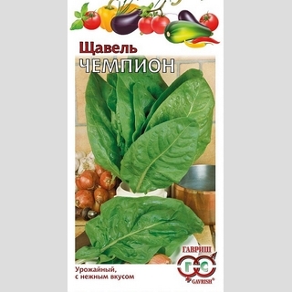 Щавель Чемпион
