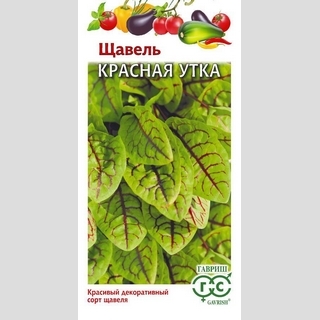 Щавель Красная Утка