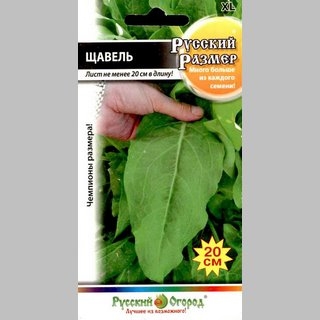 Щавель Русский размер