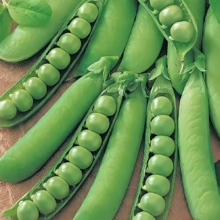 Горох Щербет