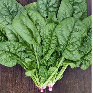 Шпинат Америка