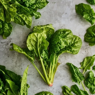 Шпинат Матадор