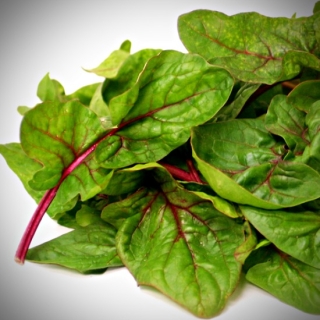 Шпинат Ред Табби F1 (Rijk Zwaan)