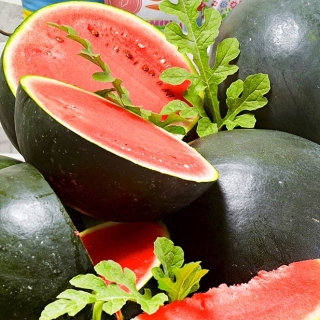 Арбуз Шуга Бейби