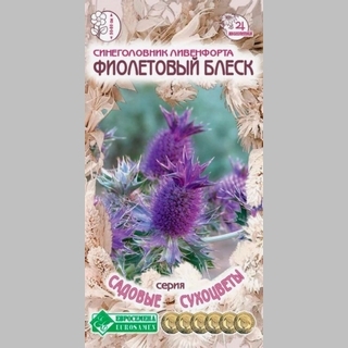 Синеголовник ливенфорта Фиолетовый Блеск