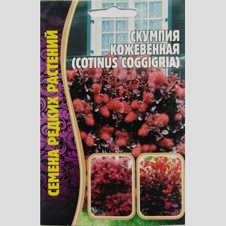 Скумпия кожевенная (большой пакет)