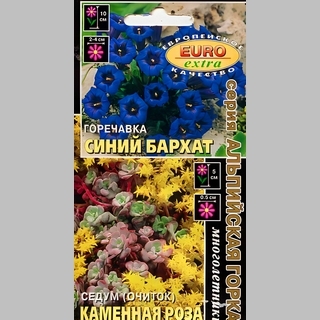 Смесь Горечавка Синий бархат/Седум Каменная роза