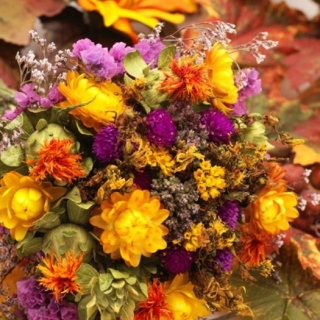 Смесь сухоцветов Зимняя сказка (большой пакет)