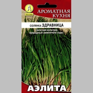 Солянка Здравница