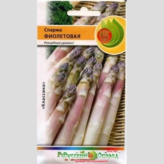 Спаржа Фиолетовая