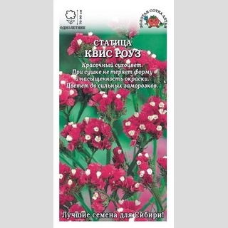 Статица Квис Роуз