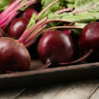 Свекла Пиковая дама F1