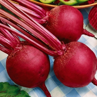 Свекла Бикорес