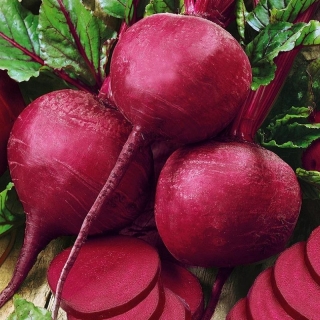 Свекла Ларка