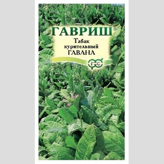 Табак Гавана курительный розовоцветковый