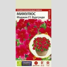 Мимулюс Мэджик Бургунди