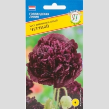 Мак Чёрный пионовидный