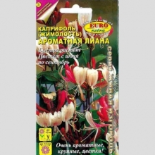 Каприфоль Ароматная лиана (жимолость)