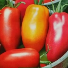 Томат Перцевидный смесь