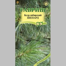 Кедр Шепард (сосна сибирская)