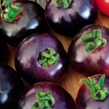 Томат Шахтер F1 (большой пакет)