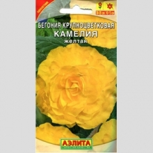 Бегония Камелия желтая