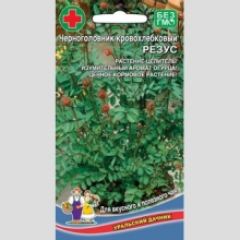 Черноголовник Резус кровохлебковый