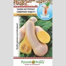 Тыква Северное чудо F1