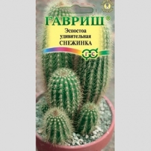 Эспостоа Снежинка шерстистая