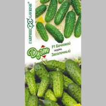Дуэт Огурец Бочковой F1 +Засолочный