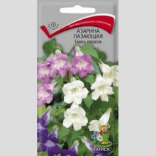 Азарина Смесь окрасок (лазающая)