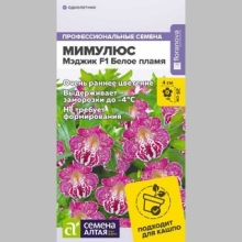 Мимулюс Мэджик F1 Белое пламя