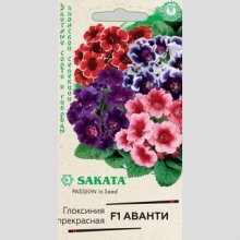 Глоксиния Аванти F1