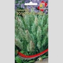 Ламаркия Золотой Дождь золотистая