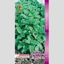 Мелисса Кадриль лекарственная (Лимонная мята)