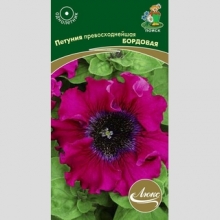 Петуния превосходнейшая Бордовая