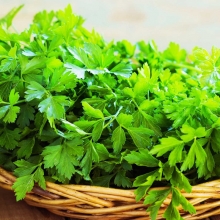 Петрушка Обыкновенная (листовая)