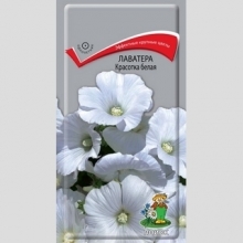 Лаватера Красотка белая