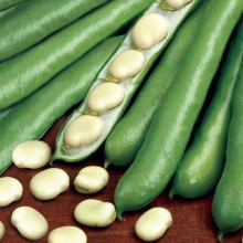 Бобы Бориска