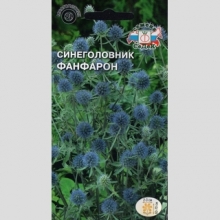 Синеголовник Фанфарон