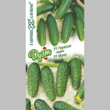 Дуэт Огурец Герасим F1 +Муму F1