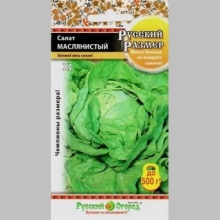Салат Маслянистый Русский размер (кочанный)