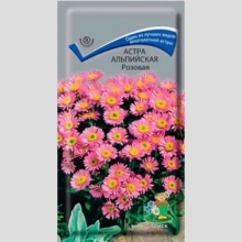 Астра Розовая (альпийская)