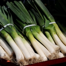 Лук Карантанский (порей)